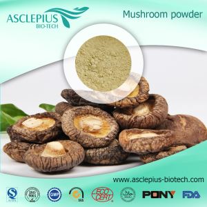 Shiitake Mushroom Extract Powder, Organic Shiitake Mushroom Powder Supplier Lag luam wholesale